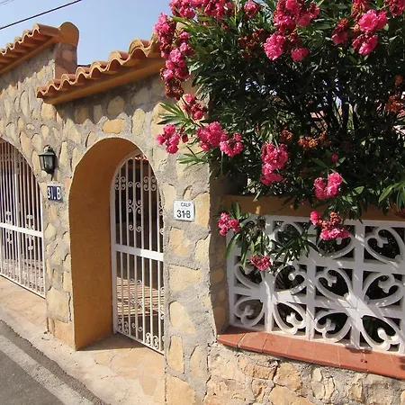 فيلة Maryvilla 231 *