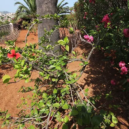 Maryvilla 231 * كاليبي