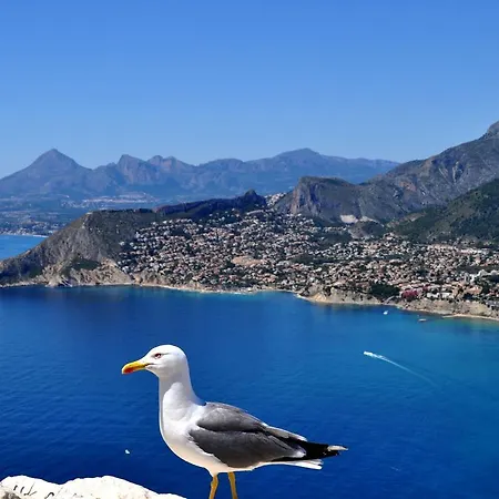 Maryvilla 231 فيلة كاليبي