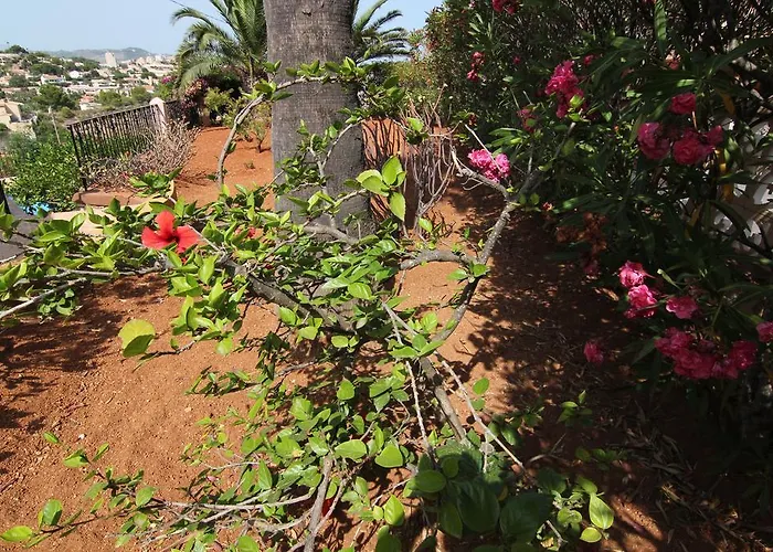 Maryvilla 231 * カルプ