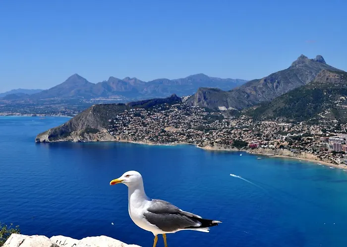 Maryvilla 231 ヴィラ カルプ